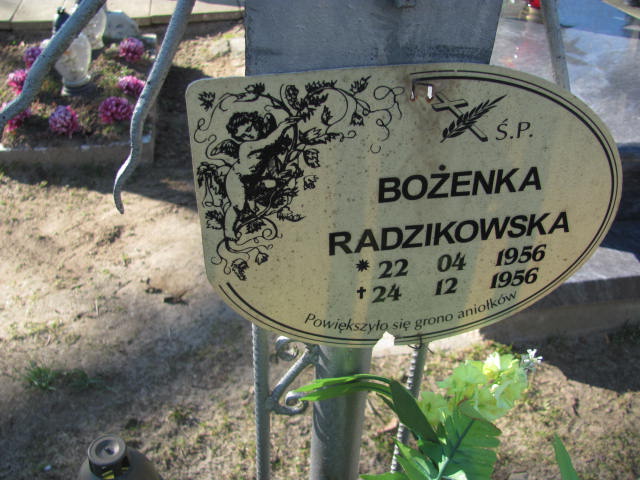 Bożena Radzikowska 1956 Sławno Gmina - Grobonet - Wyszukiwarka osób pochowanych