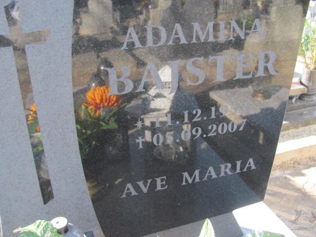 Adam Bajster 1948 Sławno Gmina - Grobonet - Wyszukiwarka osób pochowanych